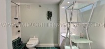 Condo-Loft-Old-Montreal-Old-Port-395-Notre-Dame-Ouest-For-Rent-A-Louer-5