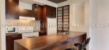 Condo-Montreal-Downtown-Centre-Ville-1100-Jeanne-Mance-For-Rent-A-Louer-1