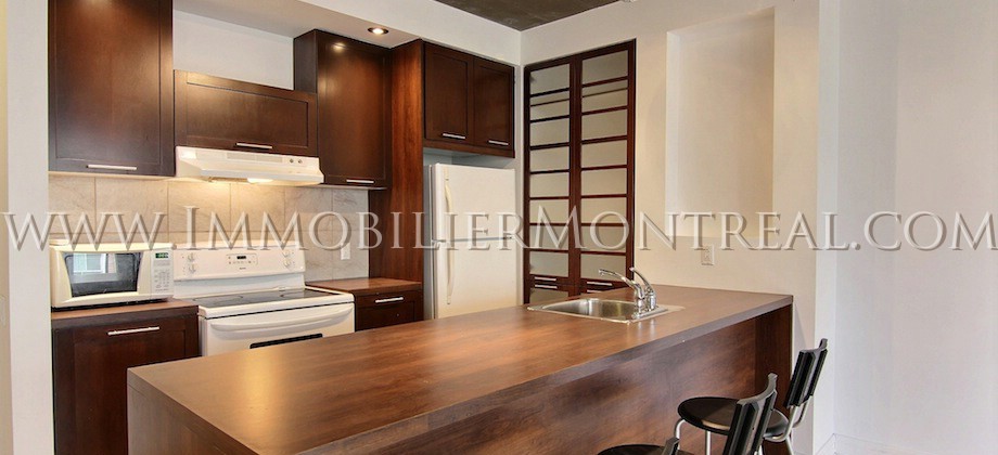 Condo-Montreal-Downtown-Centre-Ville-1100-Jeanne-Mance-For-Rent-A-Louer-1