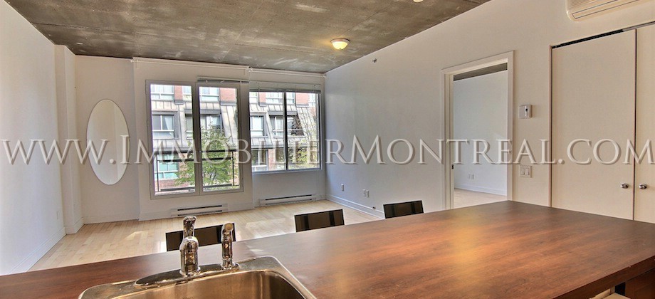 Condo-Montreal-Downtown-Centre-Ville-1100-Jeanne-Mance-For-Rent-A-Louer-2