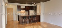 Condo-Montreal-Downtown-Centre-Ville-1100-Jeanne-Mance-For-Rent-A-Louer-3