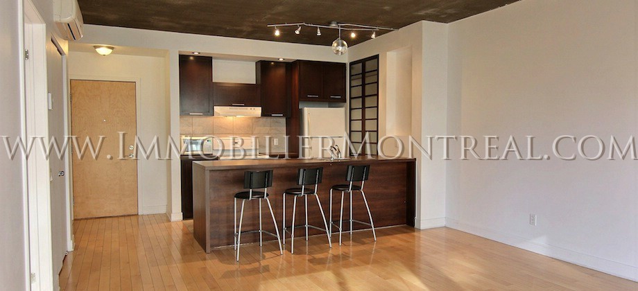 Condo-Montreal-Downtown-Centre-Ville-1100-Jeanne-Mance-For-Rent-A-Louer-3