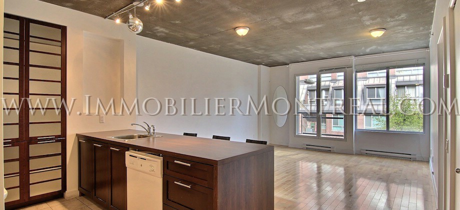 Condo-Montreal-Downtown-Centre-Ville-1100-Jeanne-Mance-For-Rent-A-Louer-8