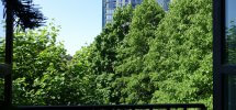 DSC03480-lr