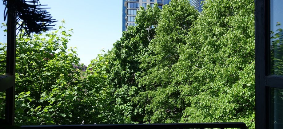 DSC03480-lr